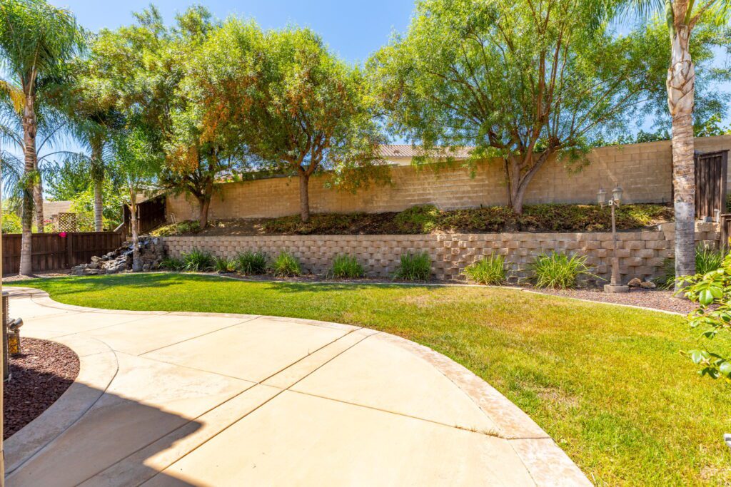 Lush backyard with green grass, palm trees, and a stone wall, featuring a curved concrete path leading to a serene landscape.