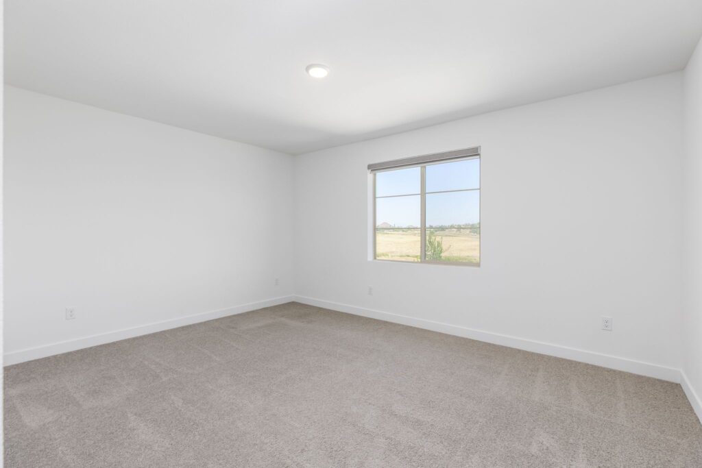 Bright, empty room featuring beige carpet and a window with scenic views of countryside fields, ideal for showcasing space and potential.